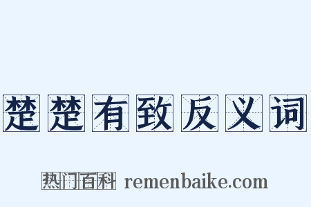 楚楚有致反义词是什么意思的图片